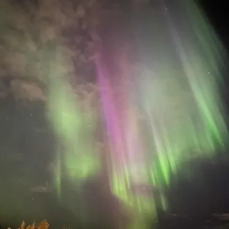 Arctic Magic In The Heart Of *