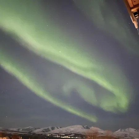 Arctic Magic In The Heart Of