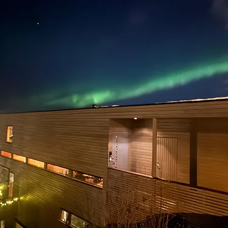 Arctic Magic In The Heart Of *
