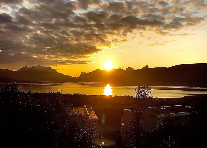 Arctic Magic In The Heart Of Apartamento