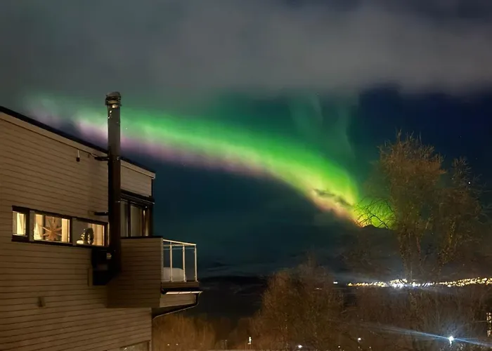 Arctic Magic In The Heart Of Apartamento *