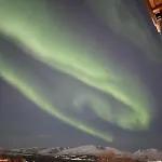 Arctic Magic In The Heart Of