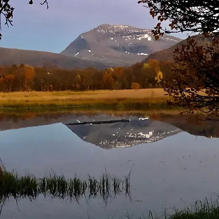 Arctic Magic In The Heart Of * Tromsø