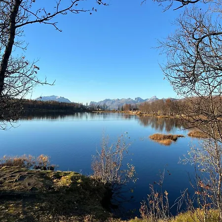 Arctic Magic In The Heart Of Apartamento Tromsø