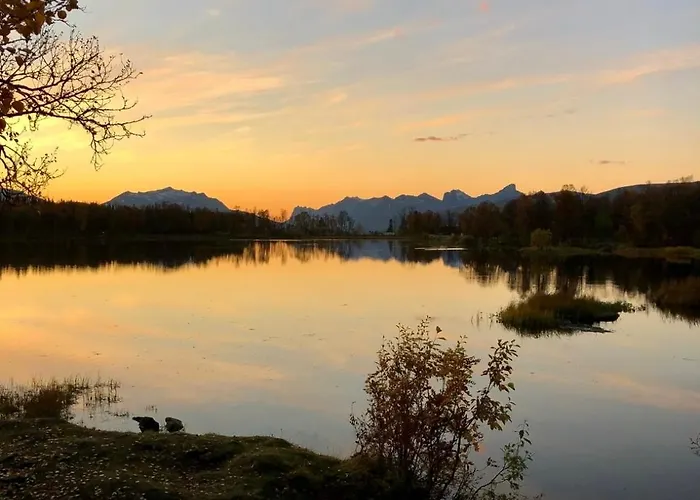 Arctic Magic In The Heart Of טרומסה