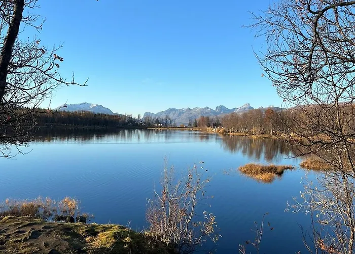 Arctic Magic In The Heart Of דירה טרומסה