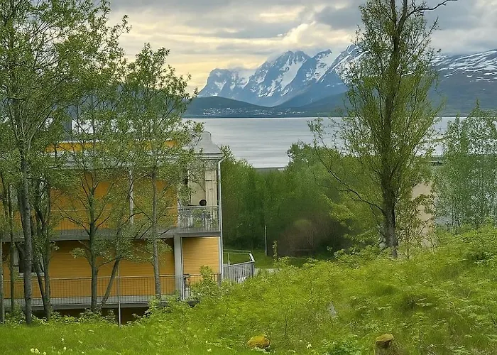 Arctic Magic In The Heart Of דירה טרומסה